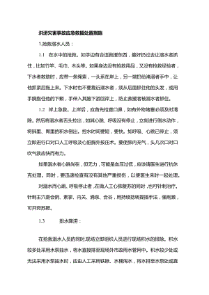 洪涝灾害事故应急救援处置措施.docx