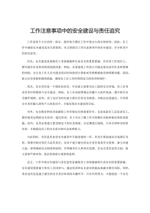 工作注意事项中的安全建设与责任追究.docx