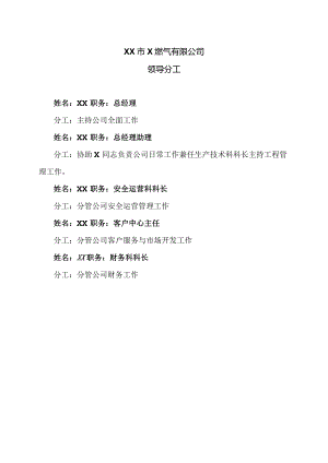 XX市X燃气有限公司领导分工（2024年）.docx