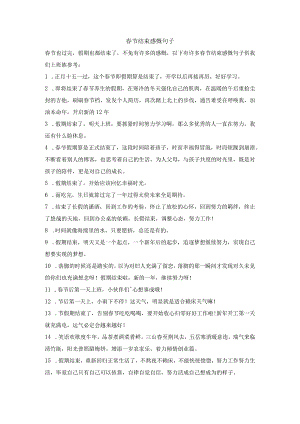 春节结束感慨句子.docx