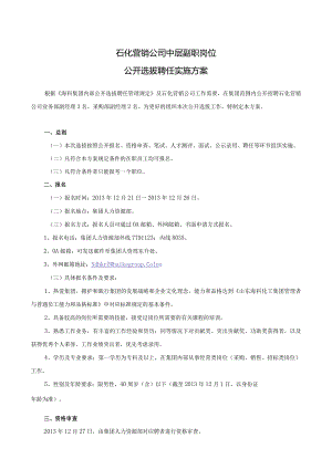 石化营销公司中层副职公开选拔聘任实施方案.docx