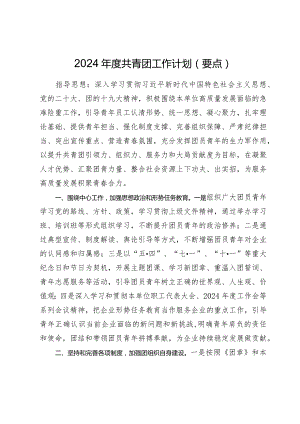 2024年度共青团工作计划（要点）.docx