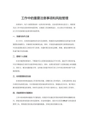 工作中的重要注意事项和风险管理.docx