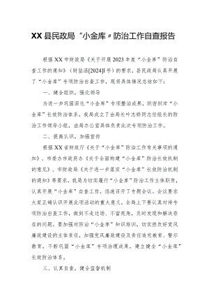 XX县民政局“小金库”防治工作自查报告.docx