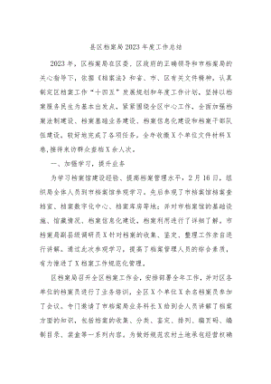 县区档案局2023年度工作总结.docx