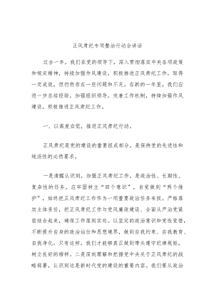 正风肃纪专项整治行动会讲话.docx