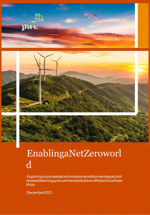 实现净零世界-英_市场营销策划_重点报告202301202_doc.docx