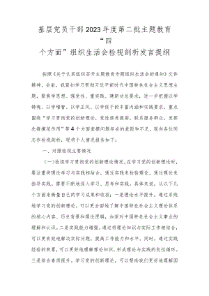 基层党员干部2023年度第二批主题教育“四个方面”组织生活会检视剖析发言提纲.docx