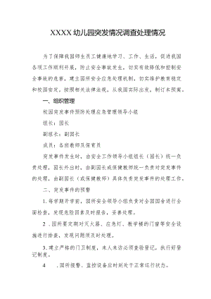 幼儿园突发情况调查处理情况.docx
