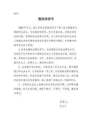 整改承诺.docx