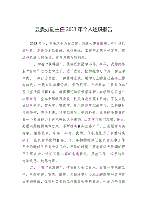 县委办副主任2023年个人述职报告.docx