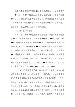 某县纪委监委案件审理室2024年工作总结及下一步工作打算.docx