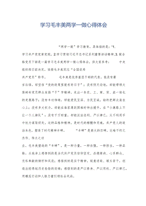 学习毛丰美两学一做心得体会.docx