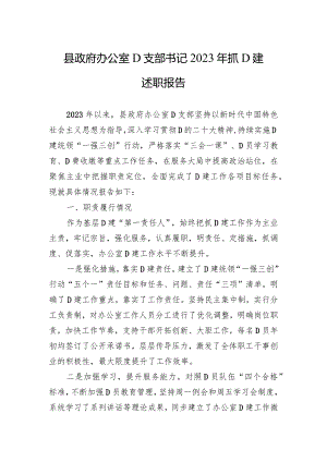 县政府办公室党支部书记2023年抓党建述职报告.docx