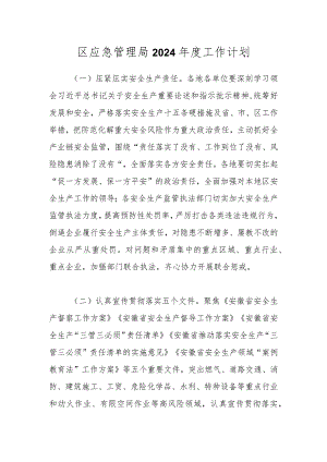 区应急管理局2024年度工作计划.docx
