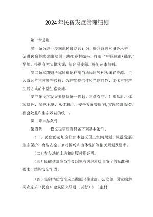 2024年民宿发展管理细则.docx