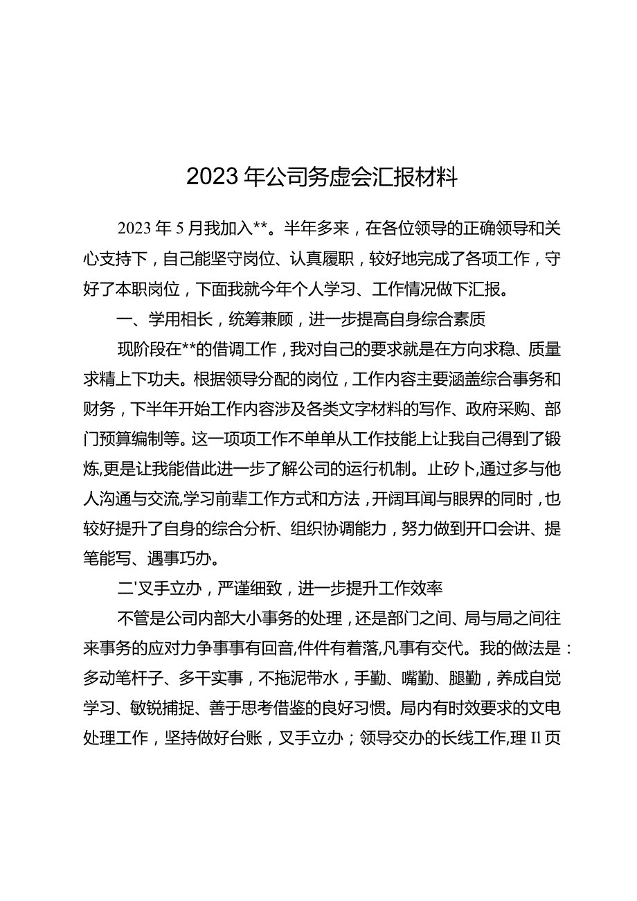 （公司）2024年务虚会个人汇报材料+.docx_第1页