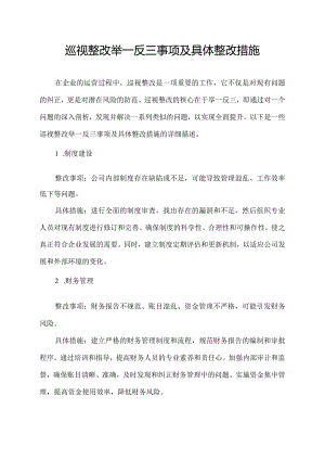 巡视整改举一反三事项及具体整改措施.docx