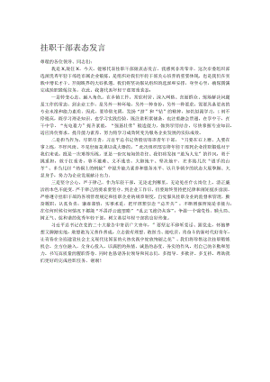 挂职干部表态发言.docx