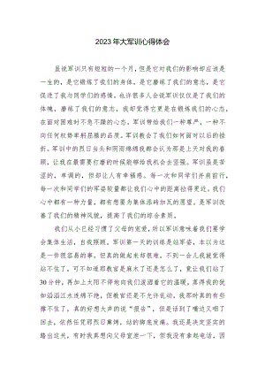 大军训心得体会.docx