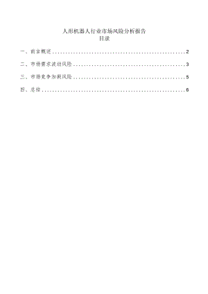 人形机器人行业市场风险分析报告.docx