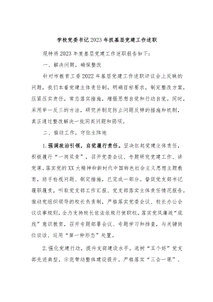 学校党委书记2023年抓基层党建工作述职.docx