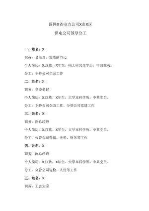 国网X省电力公司X市X区供电公司领导分工（2024年）.docx