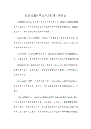 抓住发展新质生产力机遇心得体会.docx