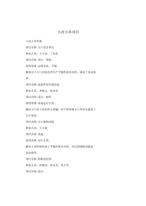 小改小革项目.docx