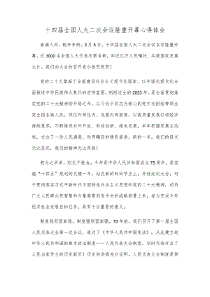 十四届全国人大二次会议隆重开幕心得体会.docx
