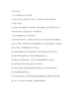 城投公司分管安全领导职业健康安全生产责任清单及工作任务清单.docx