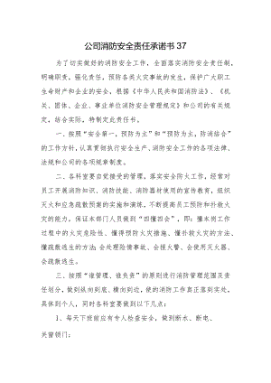 公司消防安全责任承诺书37.docx