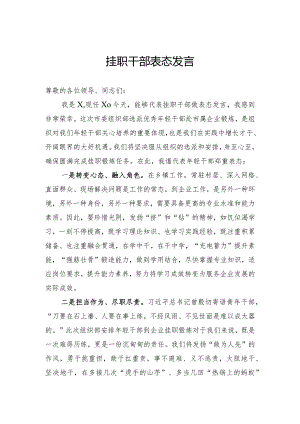 挂职干部表态发言.docx