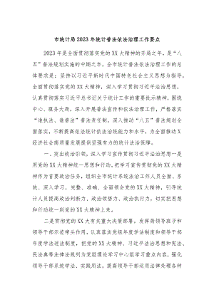 市统计局2023年统计普法依法治理工作要点.docx