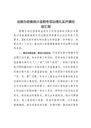 巡察办助推统计造假专项治理扎实开展经验汇报.docx