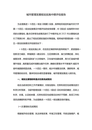 城市管理发展规划实施中期评估报告.docx
