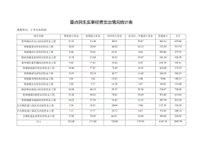 重点民生实事经费支出情况统计表.docx