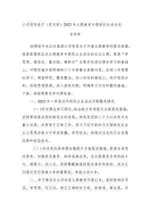 公司领导班子（党支部）2023年主题教育专题组织生活会发言材料.docx