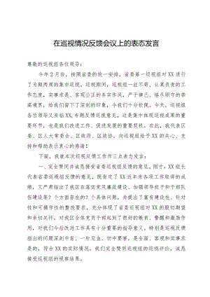 在2024年巡视情况反馈会议上的表态发言.docx