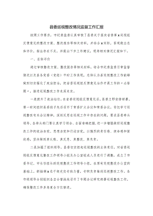 县委巡视整改情况监督工作汇报.docx