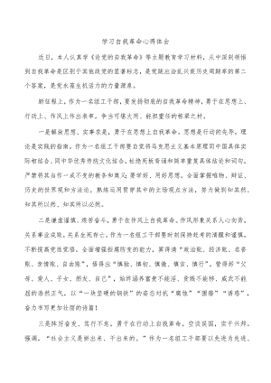 学习自我革命心得体会.docx