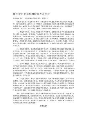镇迎接市委巡察组检查表态发言.docx