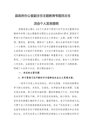 县政府办公室副主任主题教育专题民主生活会个人发言提纲.docx
