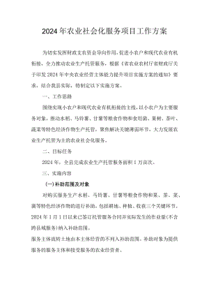 2024年农业社会化服务项目工作方案.docx