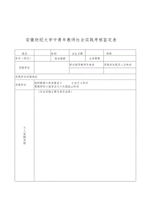 安徽财经大学中青年教师社会实践考核鉴定表.docx