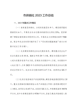 市供销社2023工作总结.docx
