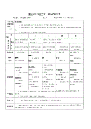 实验幼儿园中三班一周活动计划表.docx