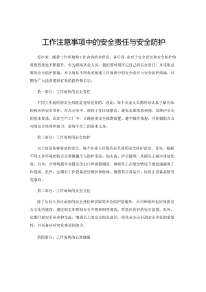工作注意事项中的安全责任与安全防护.docx