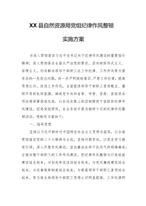 XX县自然资源局党组纪律作风整顿实施方案.docx