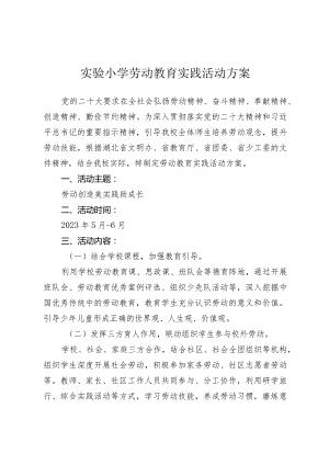 实验小学劳动教育实践活动方案.docx